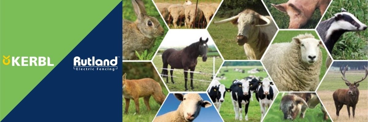 Agricultural and game rearing supplies in the UK