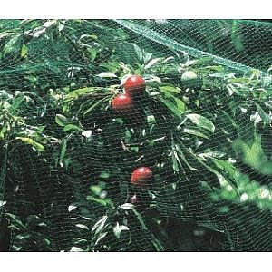 Plant Protection Netting