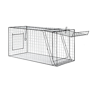 Fox Trap - Fold Flat