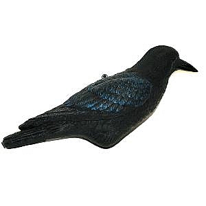 Crow Decoy