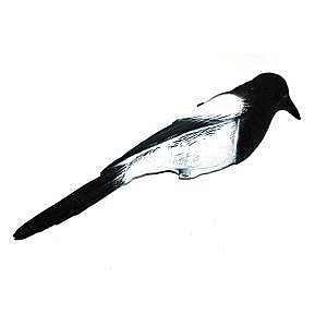 Magpie Decoy