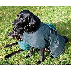 Dog Reversible Towelling Robe