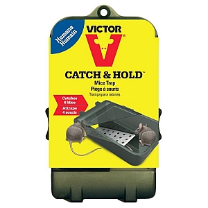 Victor Small Multi Catch Mouse Trap