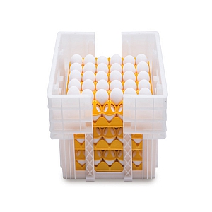 Plastic Egg Tray Crate 180 Size