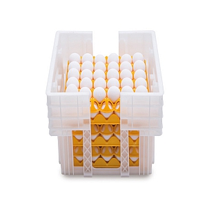 Plastic Egg Tray Crate 180 Size