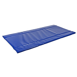 Vehicle Disinfectant Mat