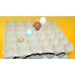154 Egg Trays