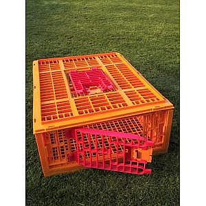 Mondial Transport Crate