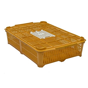 Quail or Chick Crate