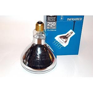 Infra Red Bulb