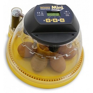 Brinsea Mini Series Incubator