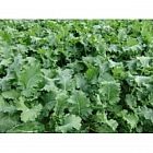 view Goldeneye Kale 1kg details